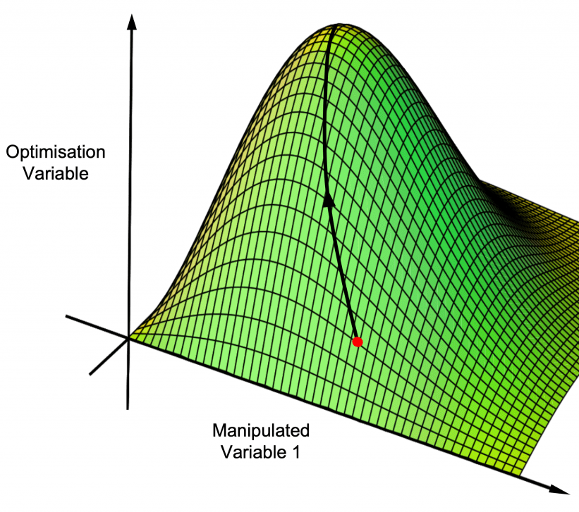 Real-time optimisation